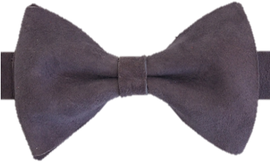 Show Up In Our Wisteria Pre-tied Bowtie, Made Using - Paisley (387x456), Png Download