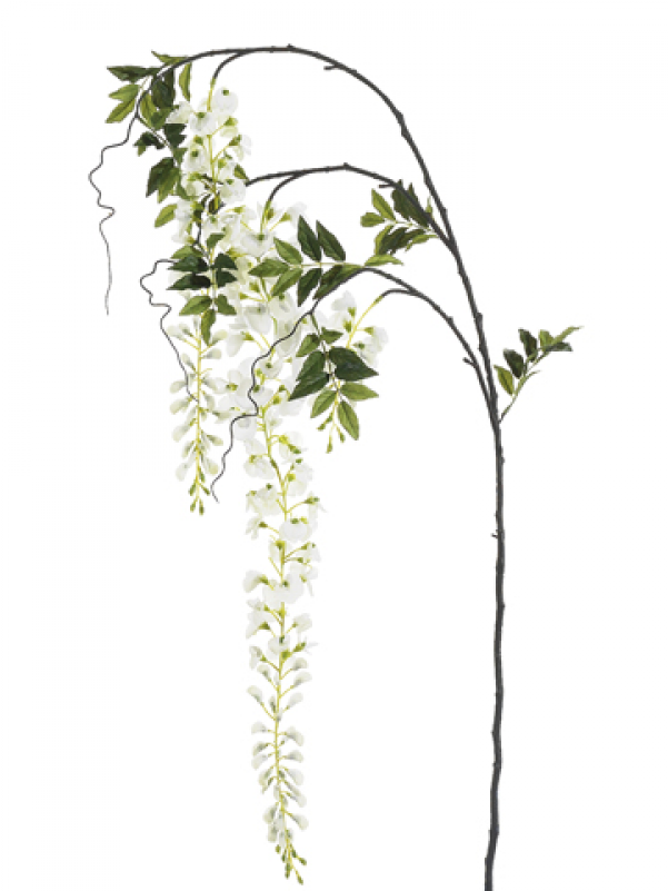 5" Japanese Wisteria Spray White - Silk Plants Direct Japanese Wisteria Spray - White (800x800), Png Download