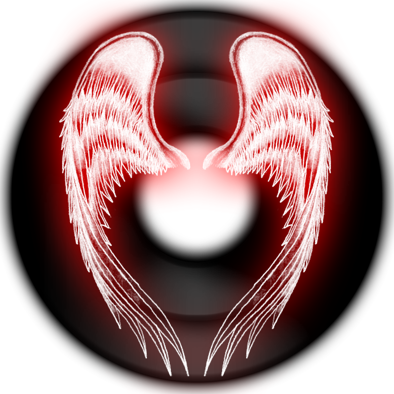 Black Dock With Red Wings - Red And Black Circle Png (800x800), Png Download