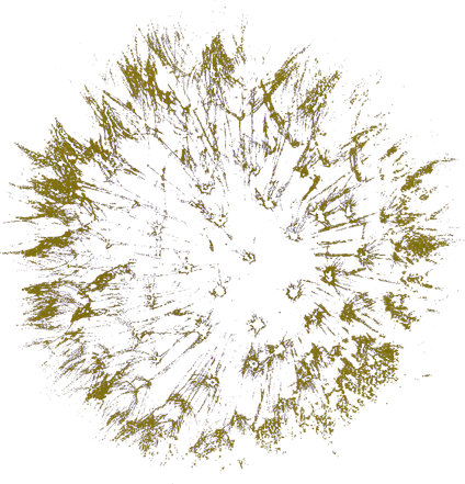 Contact - Transparent Png Gold Pattern (424x441), Png Download