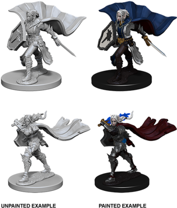 Pf Elf Female Paladin - Deep Cuts Elf Female Paladin (392x480), Png Download