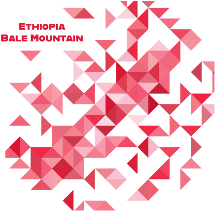 Ethiopia (600x456), Png Download