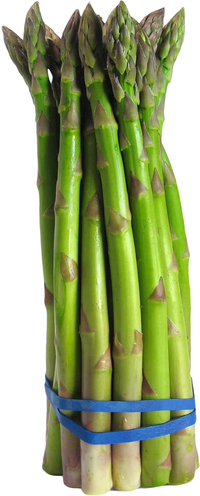 Download Asparagus Png Image - Asparagus Png (500x667), Png Download