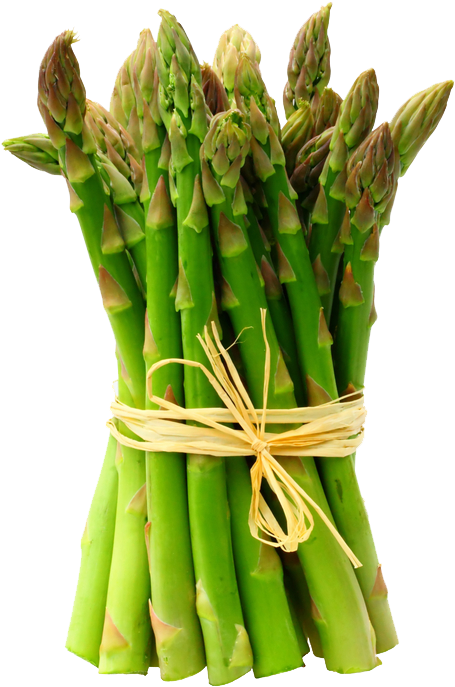 Asparagus Transparent Background - Asparagus 1kg (482x728), Png Download