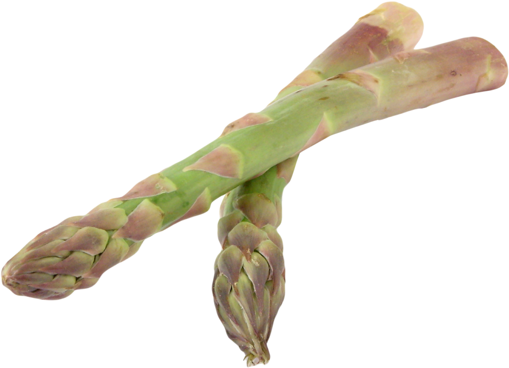 Asparagus Png Image1 - Garden Asparagus (1024x768), Png Download