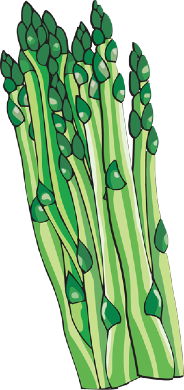 Asparagus Clip Art - Asparagus Clipart Png (640x1356), Png Download
