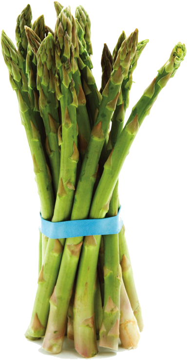 1252 Indian Rd, Creston Bc • 1 250 428 - Garden Asparagus (415x769), Png Download