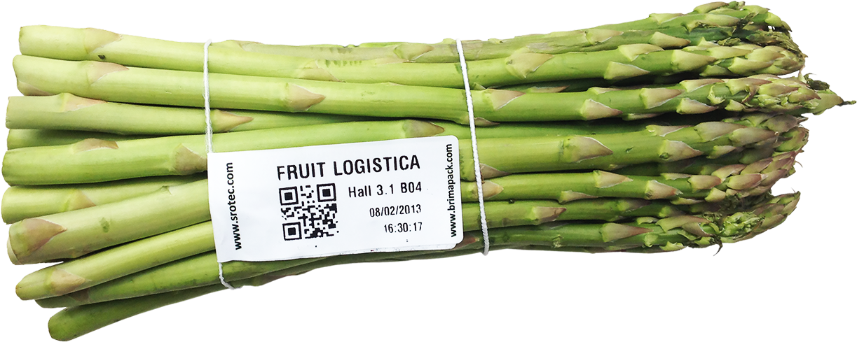 Verarbeitungssystem Spargel - Garden Asparagus (1326x580), Png Download