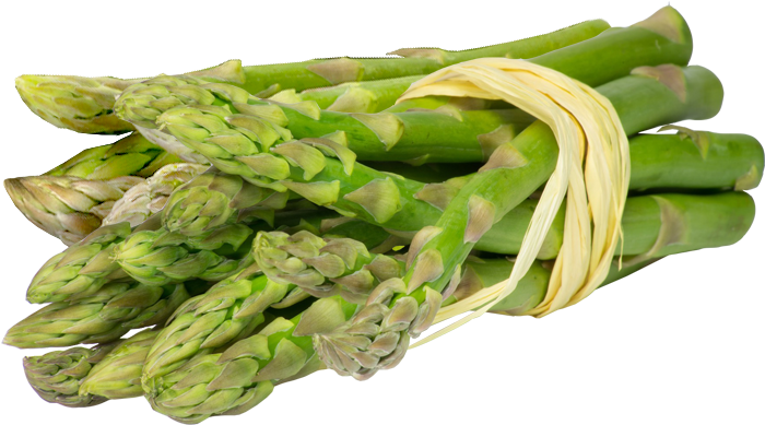 Asparagus Puree - Paleo Secrets: Ultimate Beginner's Guide With Recipes (700x700), Png Download