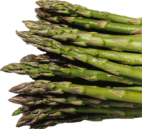 Artichoke, Whole Green Asparagus - Asparagus (497x450), Png Download