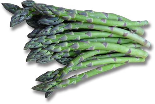 Guelph (556x350), Png Download