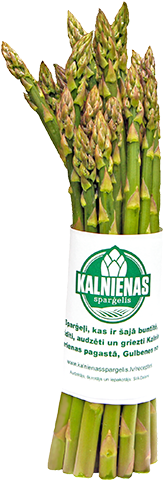 Asparagus - Garden Asparagus (575x479), Png Download