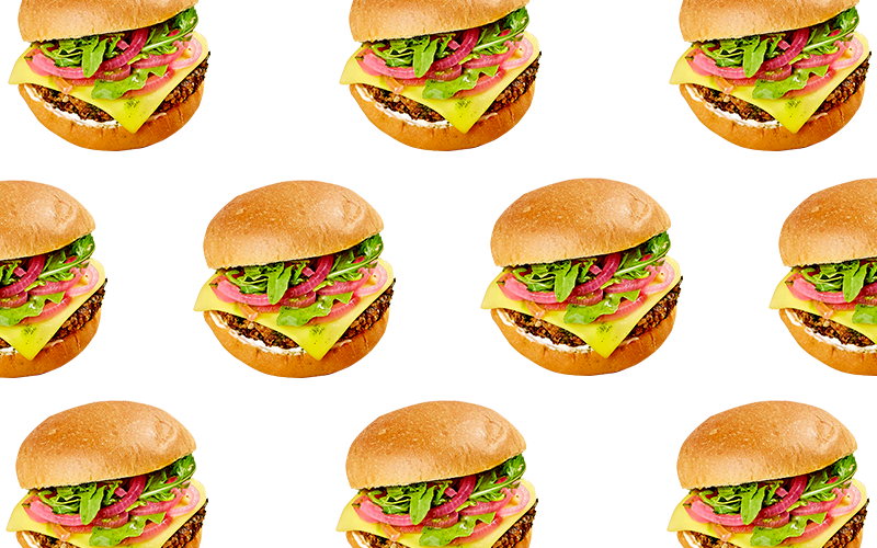 2005-veggiegrill - Portable Network Graphics (800x500), Png Download