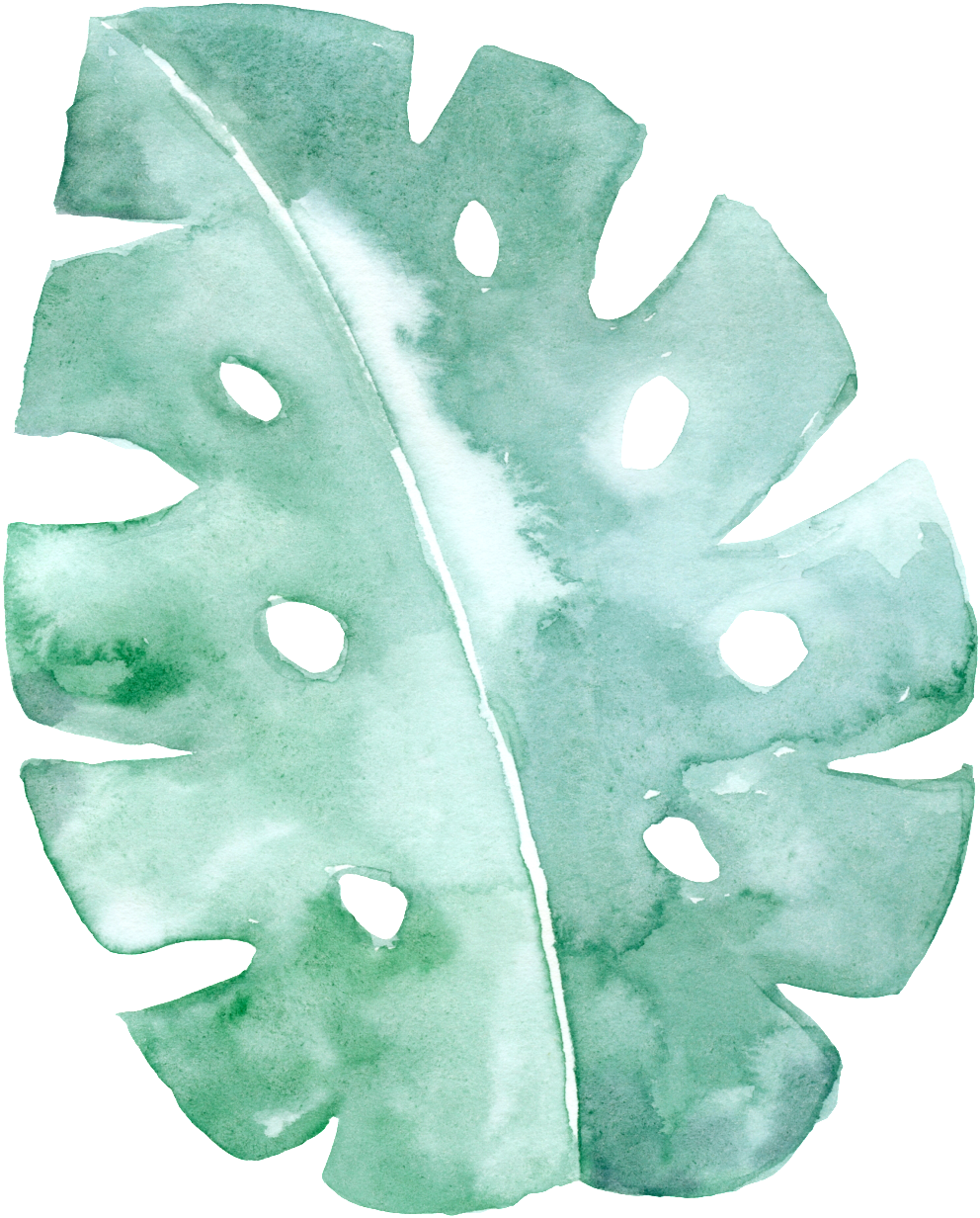 This Graphics Is Spotted Green Leaf Cartoon Transparent - Mint Green Background Watercolor Png (1024x1295), Png Download