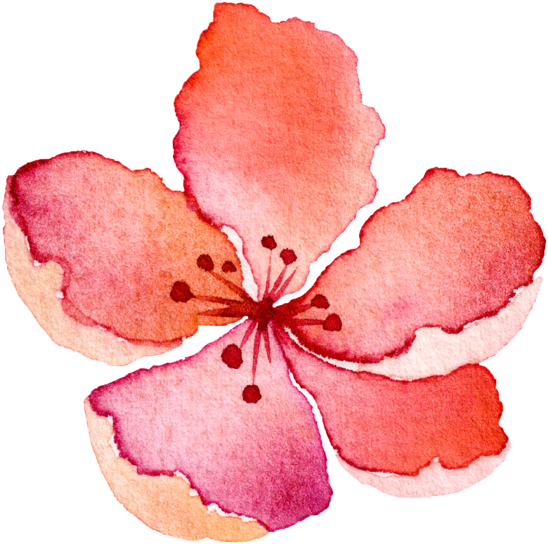 Water Saffron Transparent Decorative - Watercolor Painting (1024x1024), Png Download