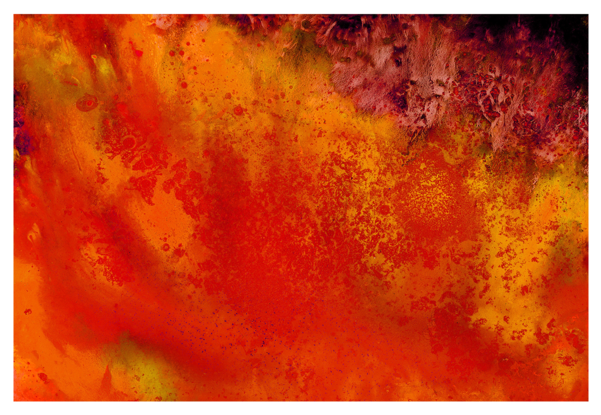 Bannon "dunedevil Series - Jacob Bannon (600x600), Png Download