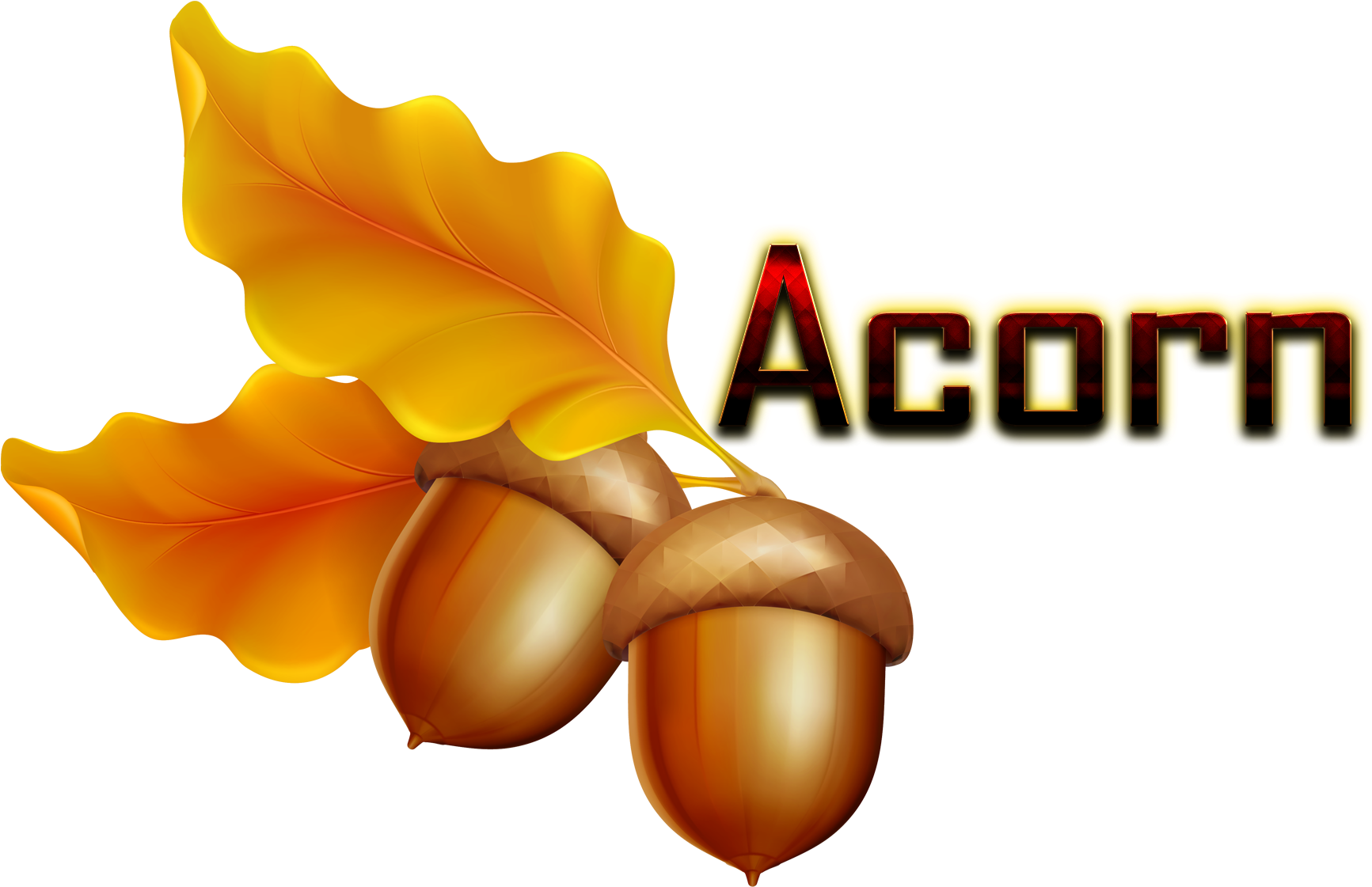 Acorn Png Hd - Transparent Background Acorn Clipart (1920x1200), Png Download