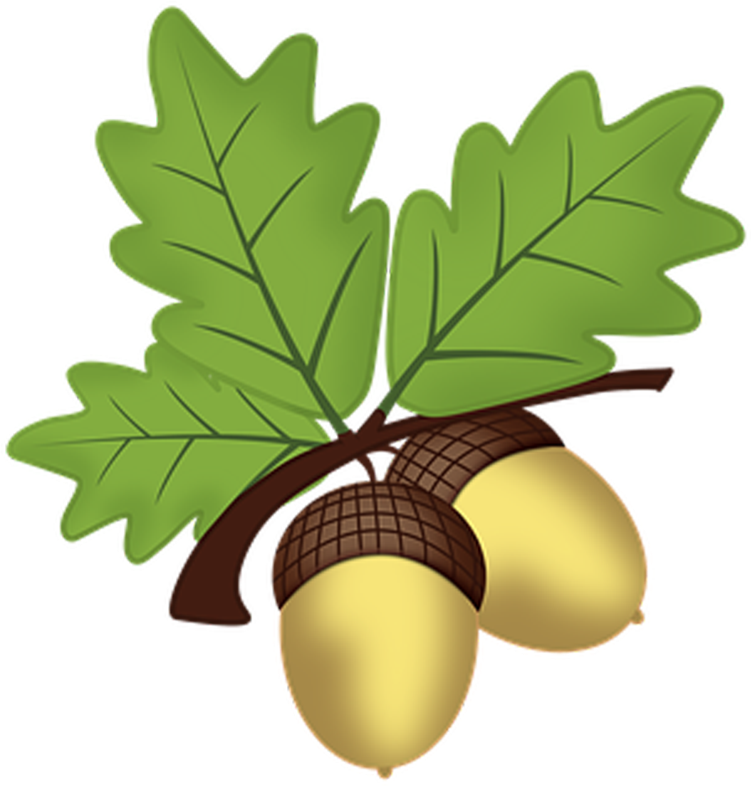 Book Squirrel S Awards Squirrels - Oak Leaves And Acorns Clipart (1181x1181), Png Download