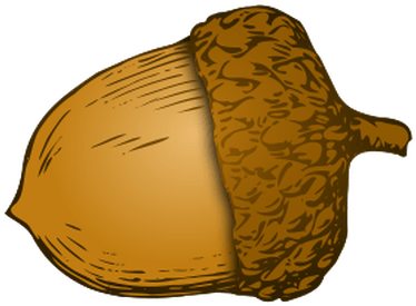 Illustration Acorn - Acorn Transparency (400x400), Png Download