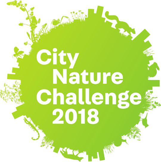 City Nature Challenge Logo (540x545), Png Download