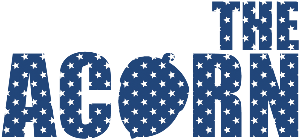 Acorn-stars - Требуется Сотрудник (1000x486), Png Download