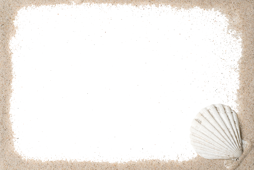 Go To Image - Shell (969x647), Png Download