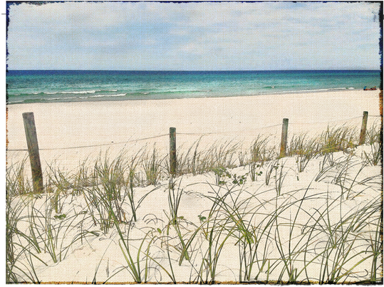 Panama City Beach Canvas - Art (600x600), Png Download
