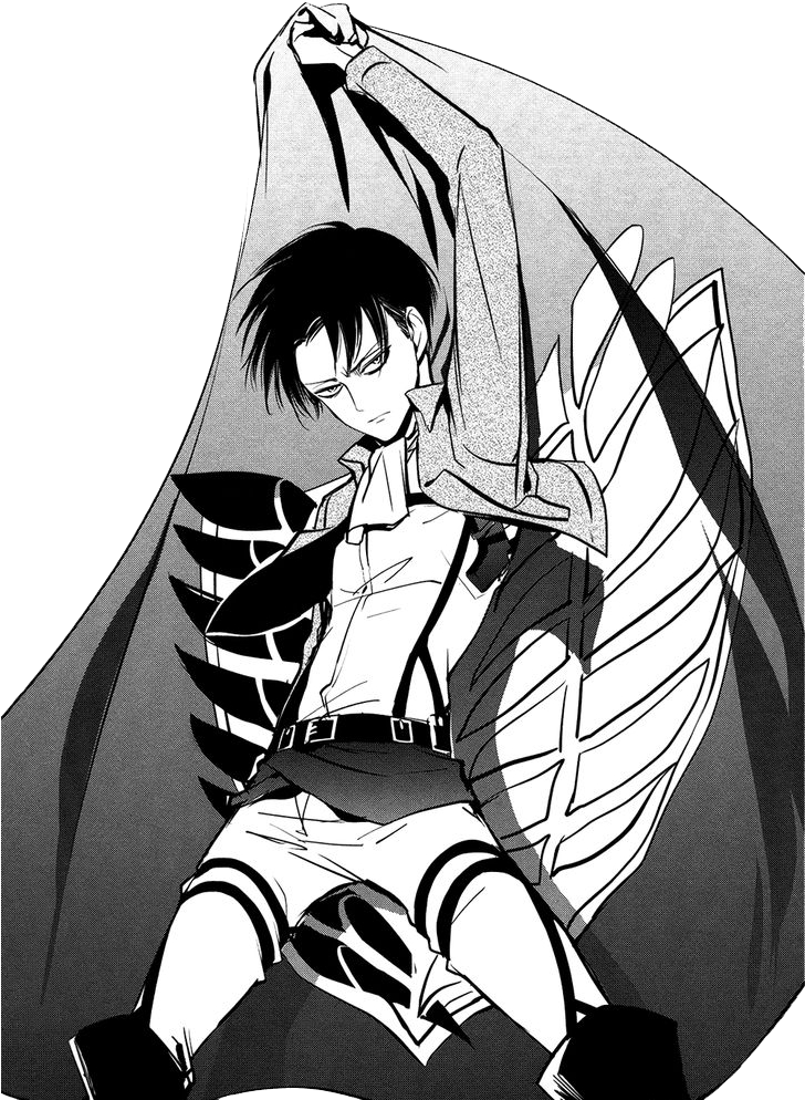 Levi Manga Attack On Titan (728x1006), Png Download