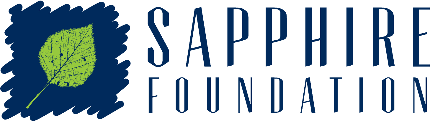 Sapphire Foundation Logo Png - Portable Network Graphics (1551x416), Png Download