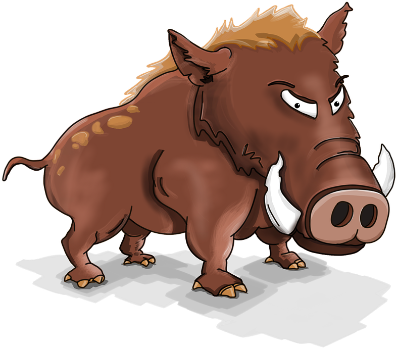 Hog Png - หมูป่า Png (832x720), Png Download