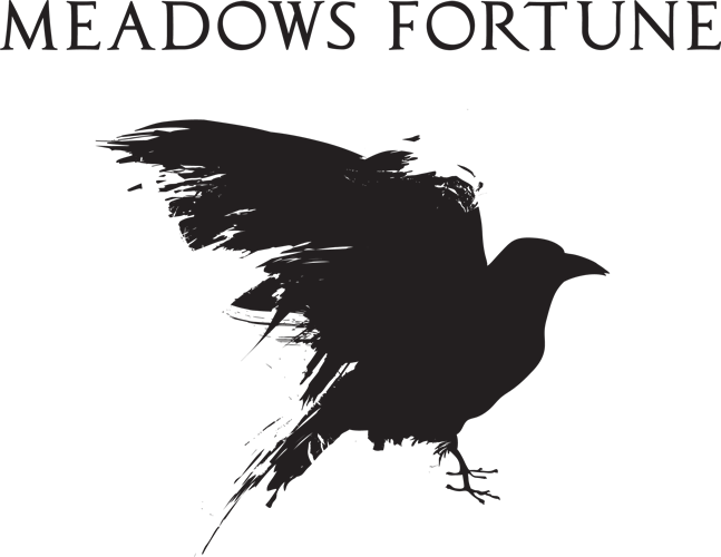 Blackbird Png Transparent Hd Photo - Bird Png Black Hd (647x500), Png Download