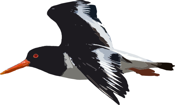 Black Bird Flying Svg Clip Arts 600 X 360 Px (600x360), Png Download
