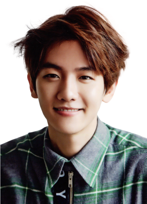 Exo, Baekhyun, And Kpop Image - Baekhyun 2015 Season Greeting (500x757), Png Download