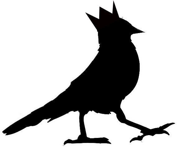 Home - Steller S Jay (800x514), Png Download