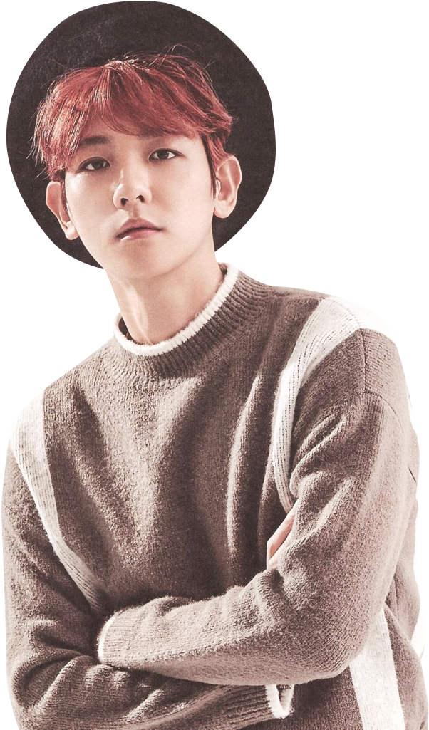 Exo Season's Greetings 2017 Baekhyun (697x1080), Png Download