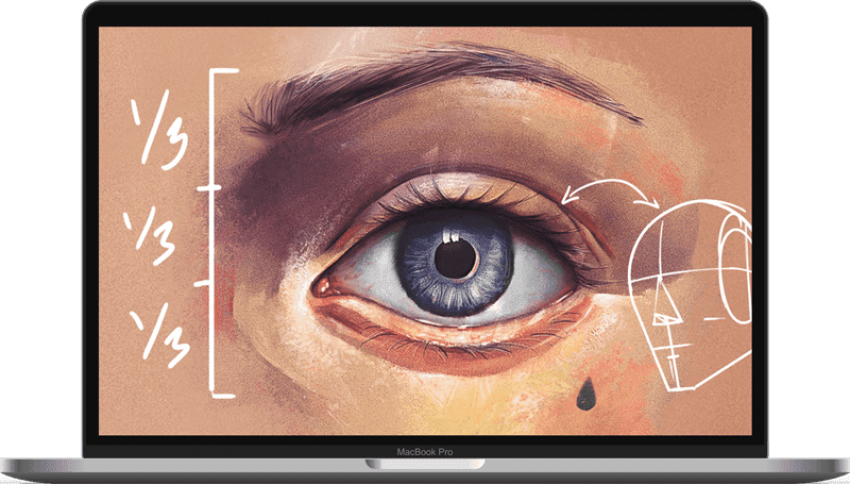 Tips & Tricks To Quickly Improve Your Portrait Anatomy, - Paint A Realistic Eye (800x455), Png Download