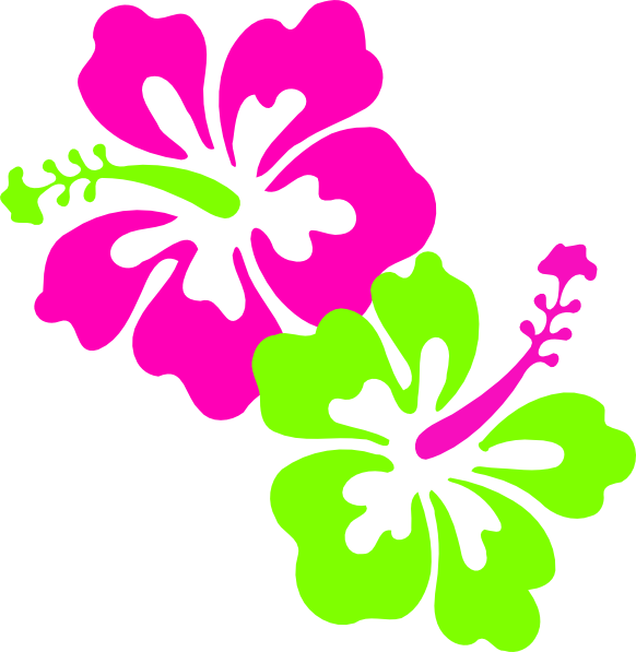 Daisy Flower Clipart At Getdrawings - Neon Green And Pink (582x597), Png Download