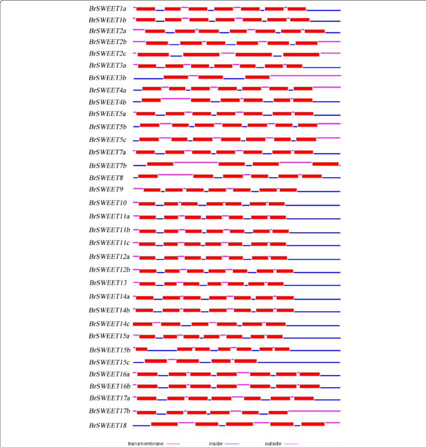 Protein Structure Of Mtn3/saliva/sweets In B - Mario Series (850x891), Png Download