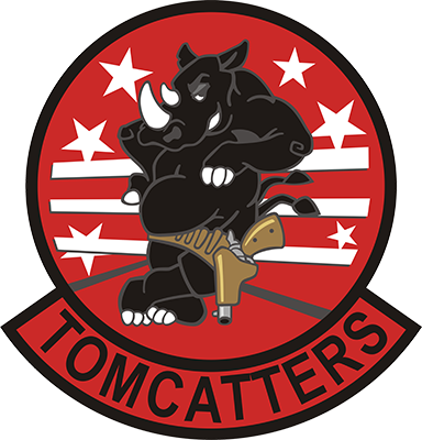F/a 18 Rhino Vfa 31 Tomcatters - Grumman F-14 Tomcat (384x400), Png Download