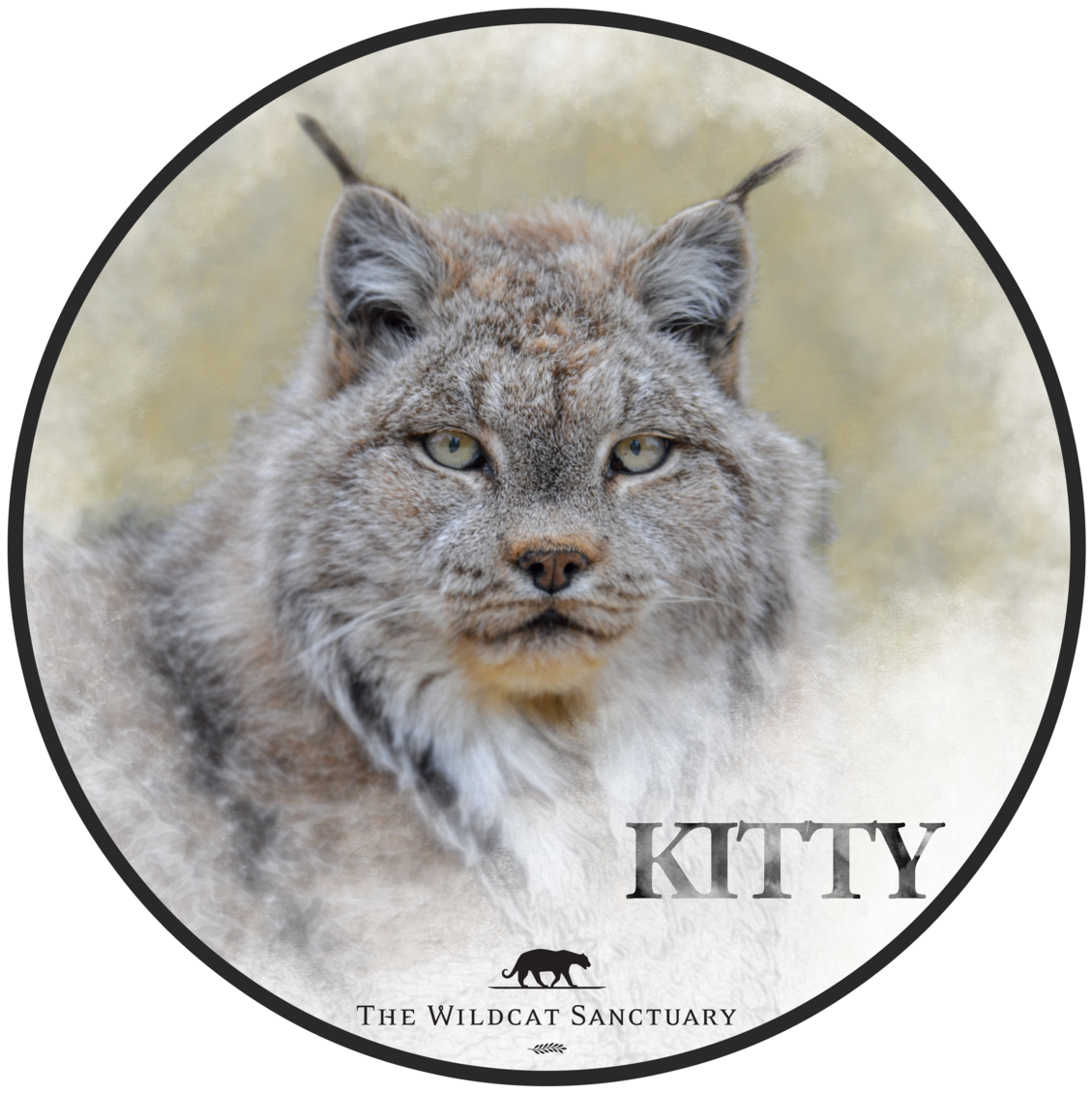 Smiley Face (1200x1200), Png Download