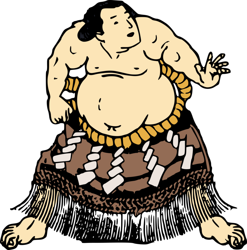 Free Photo From - Sumo Png (500x506), Png Download