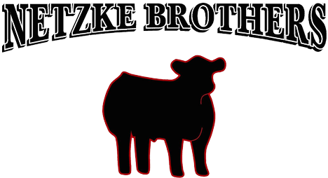 Netzke Brothers Cattle Winners - Show Cattle Clip Art (473x272), Png Download
