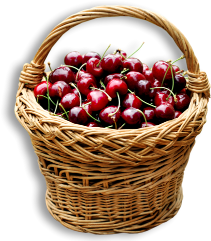 Cherry Basket Png Clipart - Kosár Meggy (451x500), Png Download