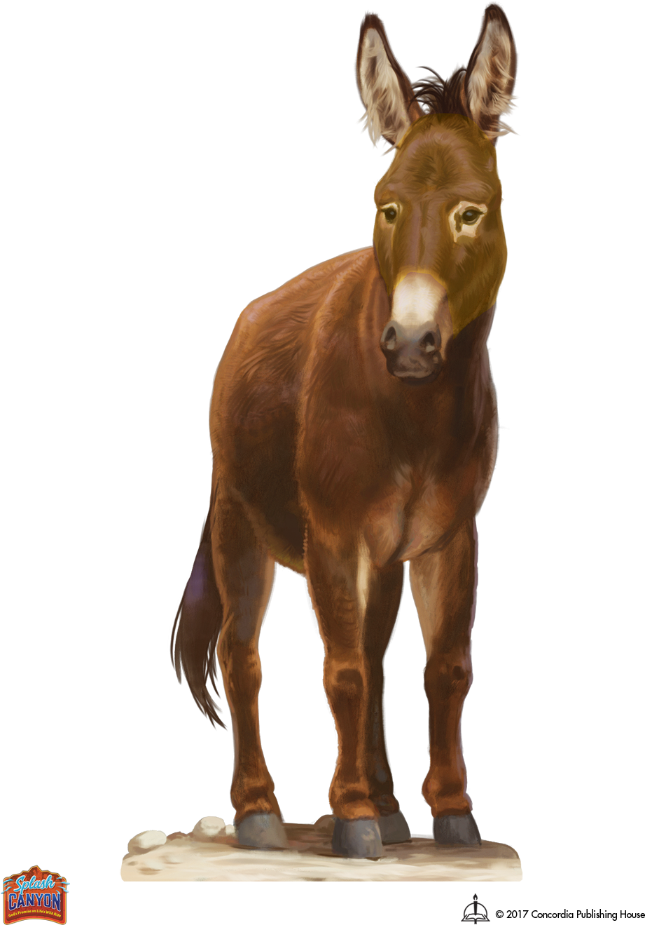 B&w - Jpeg - Art (1000x1360), Png Download