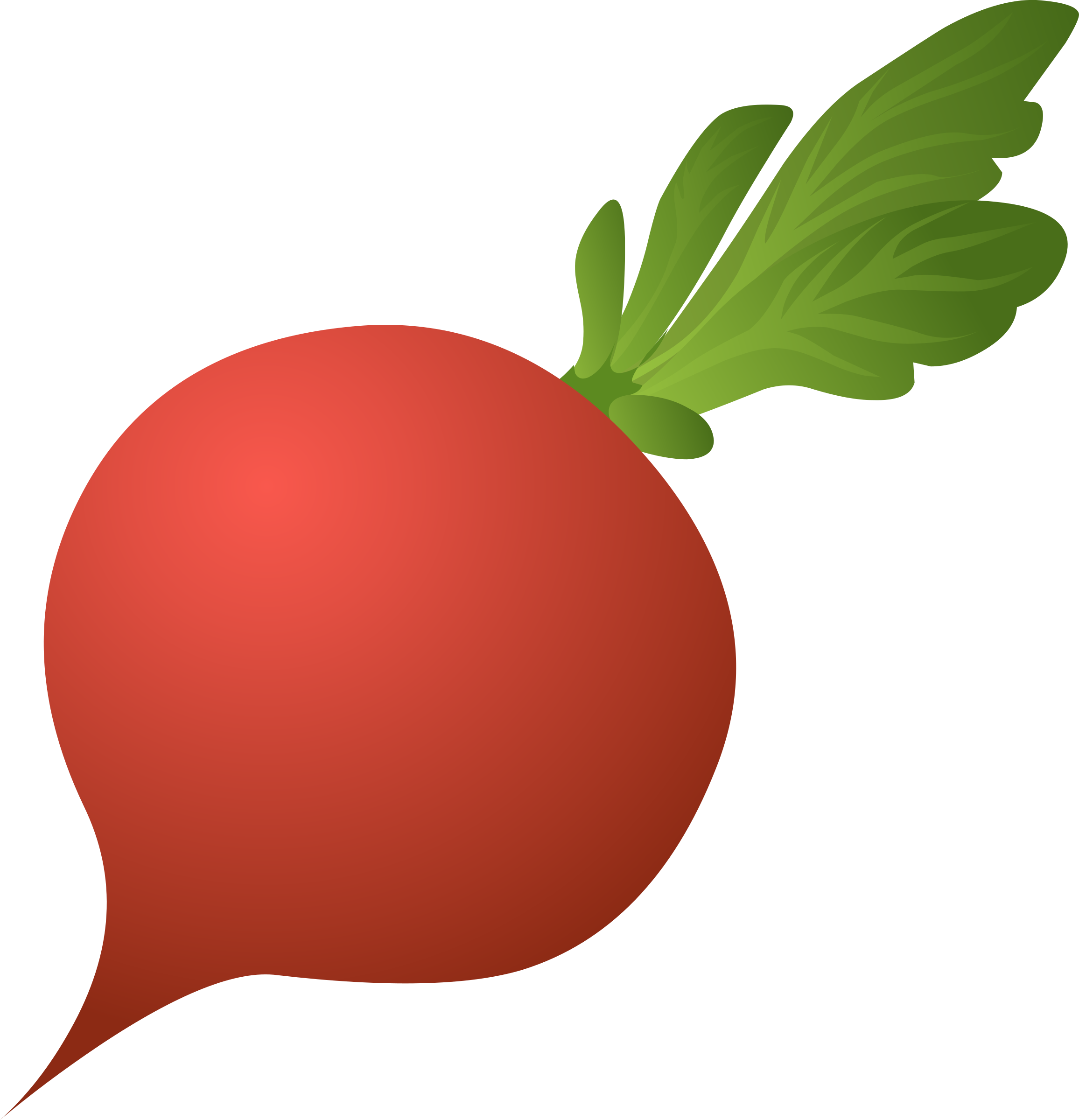 Beet Png - Radish Clipart Png (2312x2400), Png Download