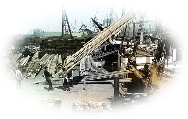 Products Mcquesten - Lumber (800x432), Png Download