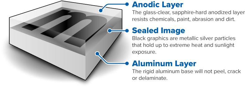 Metalphoto Cross-section - Portable Network Graphics (801x316), Png Download