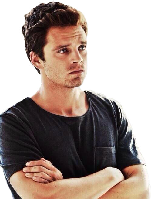 “ Transparent Sebastian Silently Judging ” - Sebastian Stan Puppy Eyes (498x655), Png Download