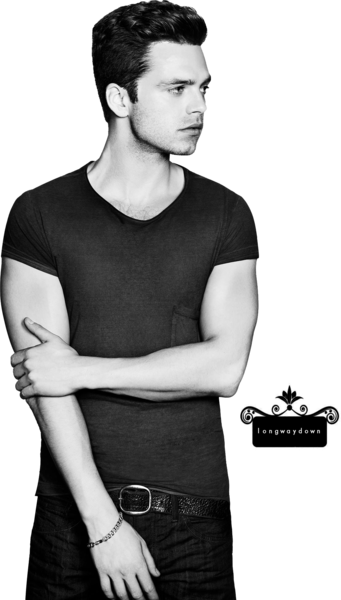 Share This Image - Sebastian Stan Black And White (341x600), Png Download