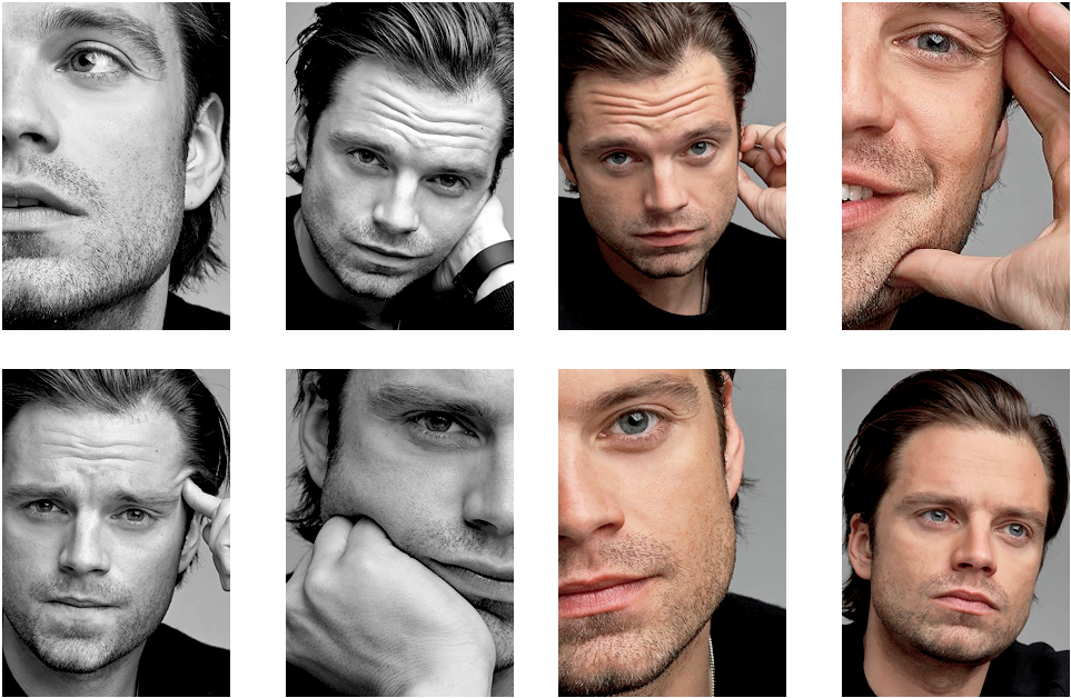 Sebastian Stan - Collage (1000x650), Png Download